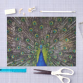 クジャク 薄葉紙 (クラフト)