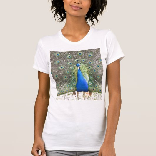 クジャク Tシャツ (正面)