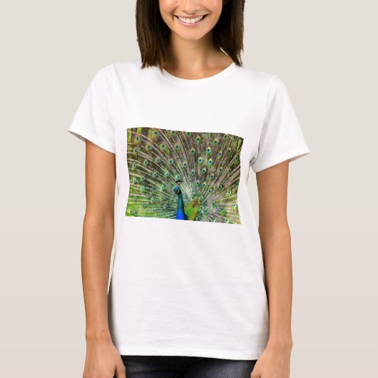 クジャク Tシャツ (正面)