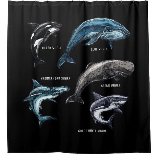 クジラとサメ海洋生物グラフィックデザイン大人 シャワーカーテン (正面)