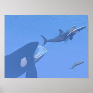 クジラとメガロドン水中 – 3D 描写 ポスター
