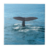 クジラのひれ タイル (正面)