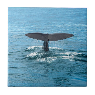 クジラのひれ タイル