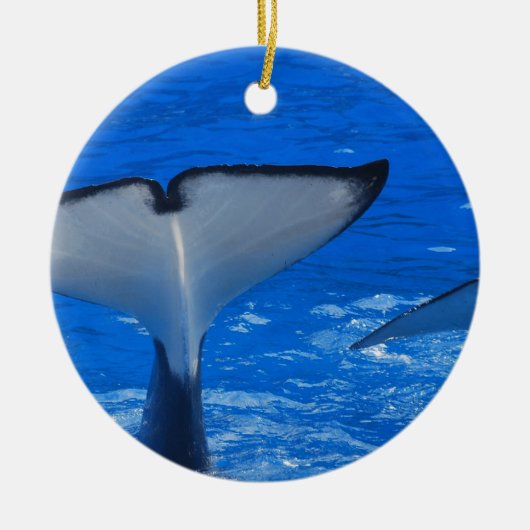 クジラのオーナメントの尾 セラミックオーナメント (正面)