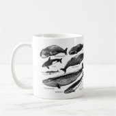 クジラの仲間 コーヒーマグカップ (左)
