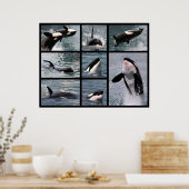 クジラの写真が複数 ポスター (キッチン)