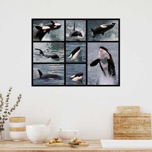 クジラの写真が複数 ポスター (キッチン)