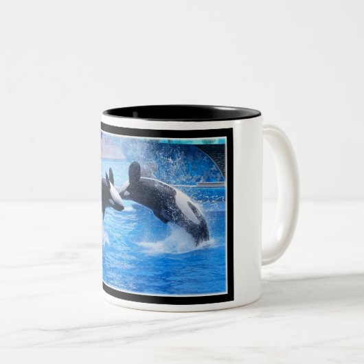 クジラの写真の陶磁器のコーヒー・マグ ツートーンマグカップ (正面右)
