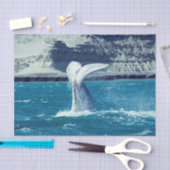 クジラの子牛の尾 – アルゼンチンはがき 薄葉紙 (クラフト)