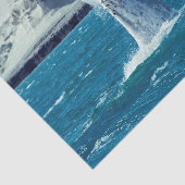 クジラの子牛の尾 – アルゼンチンはがき 薄葉紙 (詳細)