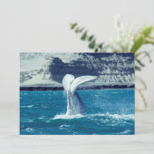 クジラの子牛の尾 – アルゼンチン 招待状 (スタンド正面)