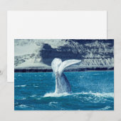 クジラの子牛の尾 – アルゼンチン 招待状 (正面/裏面)