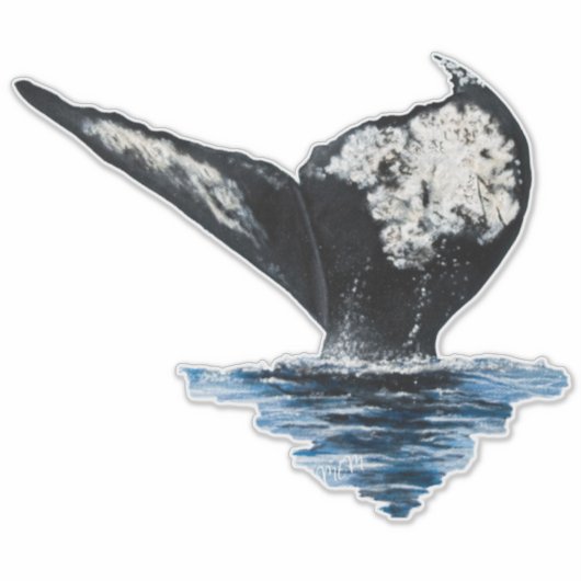 クジラの尾 シール (正面)