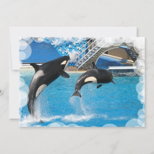 クジラの招待状の郵便はがき 招待状 (正面)