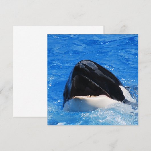 クジラの招待状 招待状 (正面/裏面)