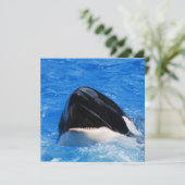 クジラの招待状 招待状 (スタンド正面)