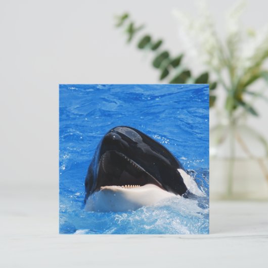 クジラの招待状 招待状 (スタンド正面)