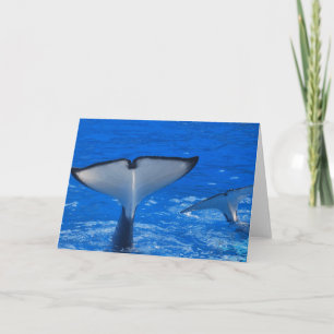 クジラの挨拶状の尾 カード