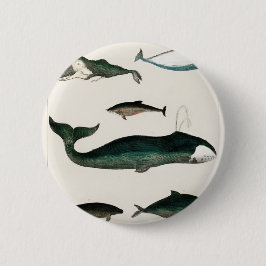 クジラの水色 |クジライラストレーション 缶バッジ