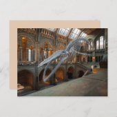 クジラの骨のポストカード ポストカード (正面/裏面)