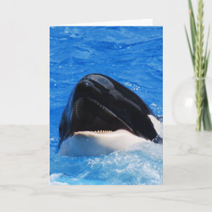クジラは挨拶状を鳴ります カード