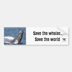 クジラを救って下さい、世界を救って下さい バンパーステッカー