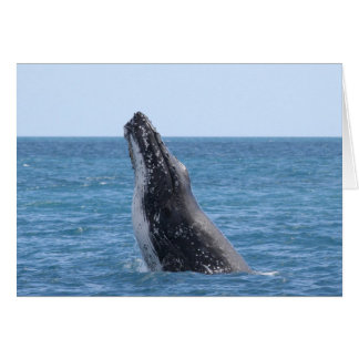 クジラを破ること