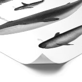 クジライラストレーション ポスター (角)