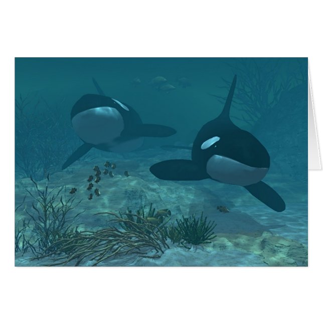 クジラ場面 (正面横)