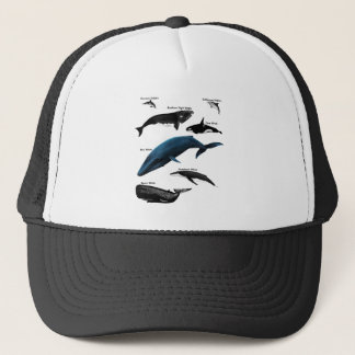クジラ日 キャップ