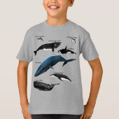 クジラ日 Tシャツ (正面)