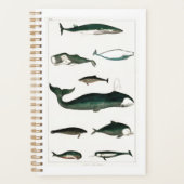 クジラ海シーウォーターオルカ プランナー手帳 (正面)