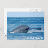 クジラ葉書（青） ポストカード (正面/裏面)