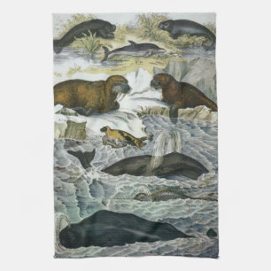 クジラ、アザラシ、セイウチ、ヴィンテージの海洋動物 キッチンタオル
