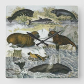 クジラ、アザラシ、セイウチ、ヴィンテージの海洋動物 スクエア壁時計 (正面)