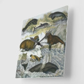 クジラ、アザラシ、セイウチ、ヴィンテージの海洋動物 スクエア壁時計 (傾斜)