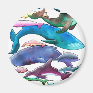 クジラ、イルカ、イルカ マグネット