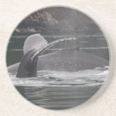 クジラ コースター (正面)