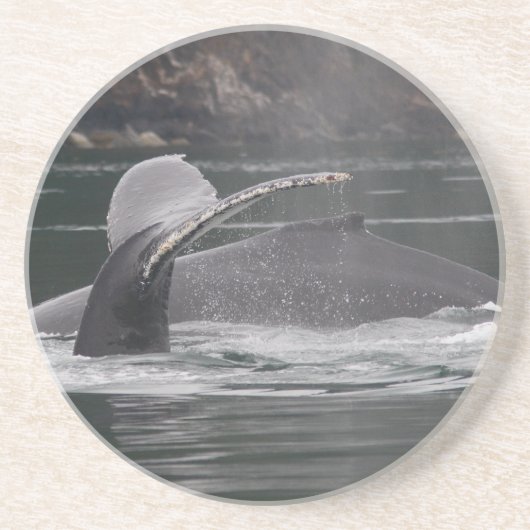 クジラ コースター (正面)