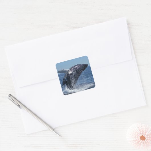クジラ スクエアシール (封筒)