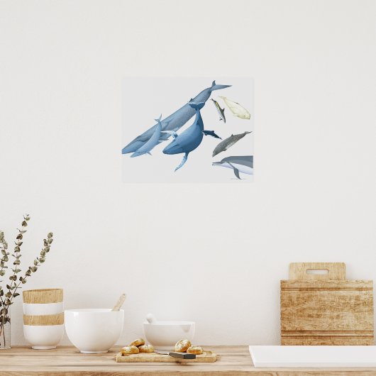 クジラ ポスター (キッチン)