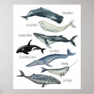 クジラ ポスター