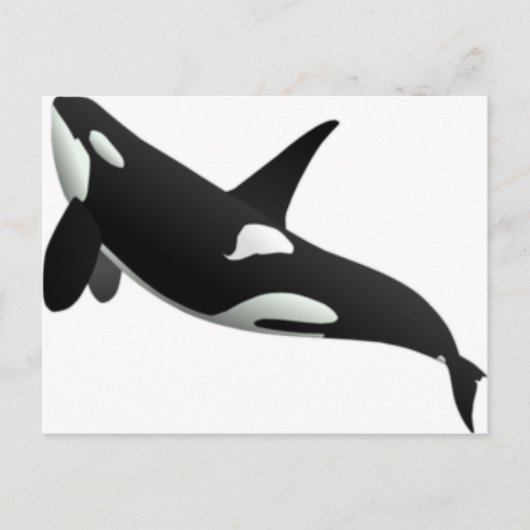 クジラ ポストカード (正面)