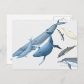クジラ ポストカード (正面/裏面)