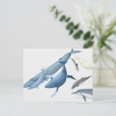 クジラ ポストカード (スタンド正面)