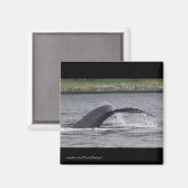 クジラ マグネット (正面/裏面)