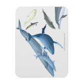 クジラ マグネット (縦)