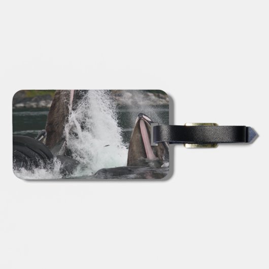 クジラ ラゲッジタグ (裏面横)