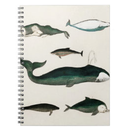 クジラ 水彩画 | クジラのイラスト ノートブック