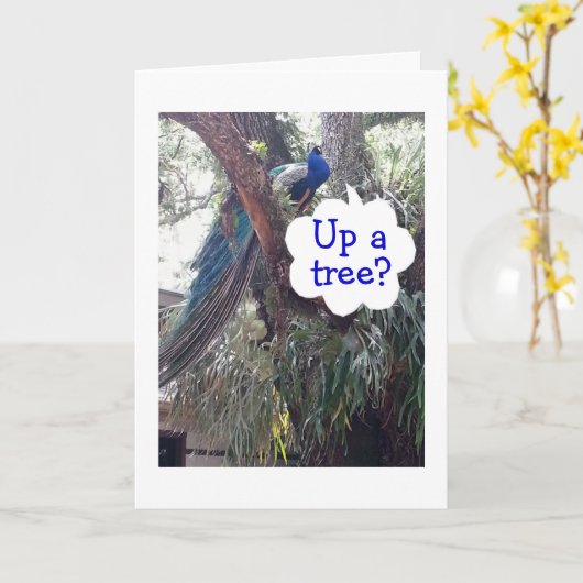 クジ頼もしャクは年を取り過ぎて木に登る カード (黄色い花)